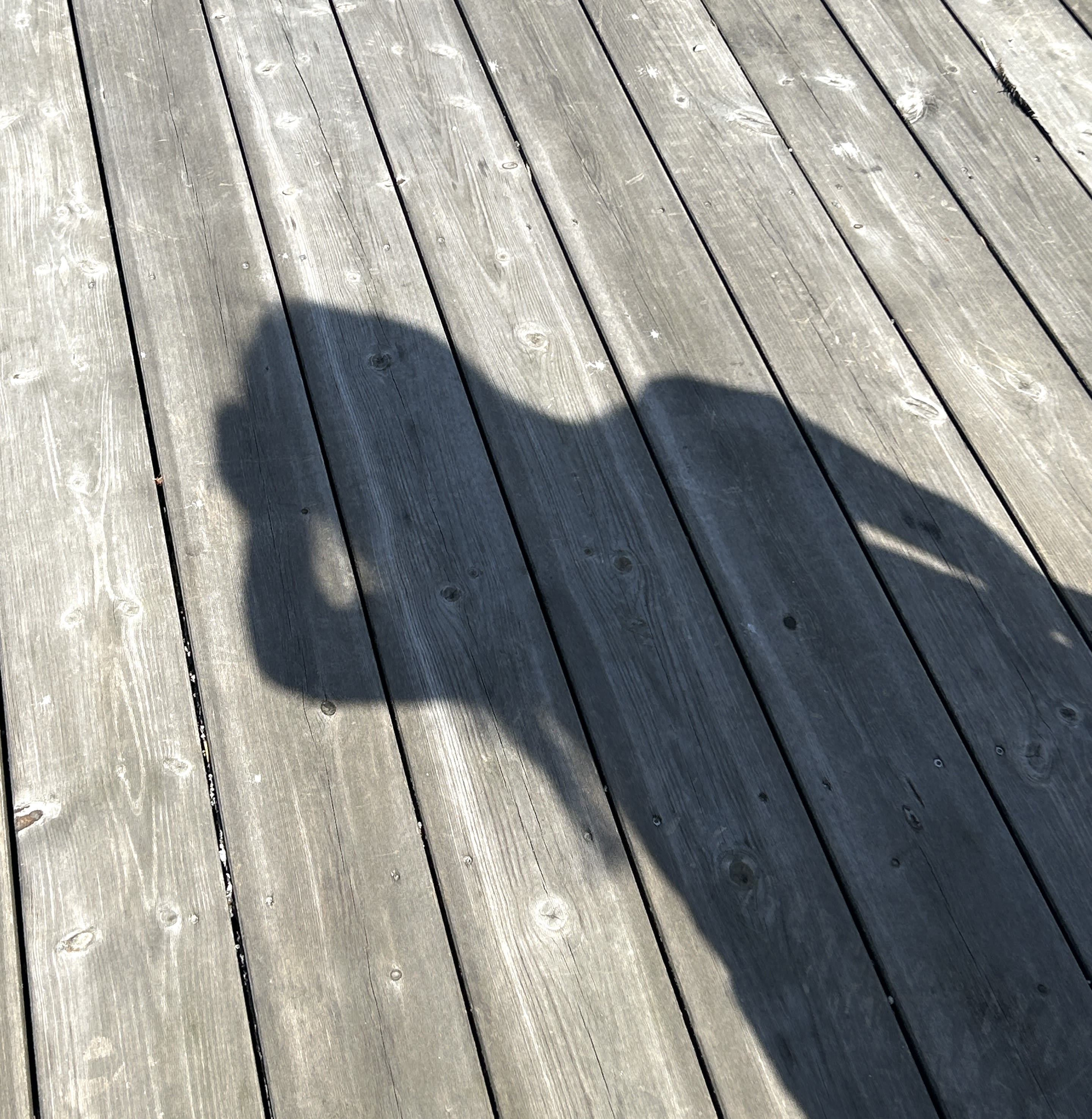 blue and white light digital wallpaper